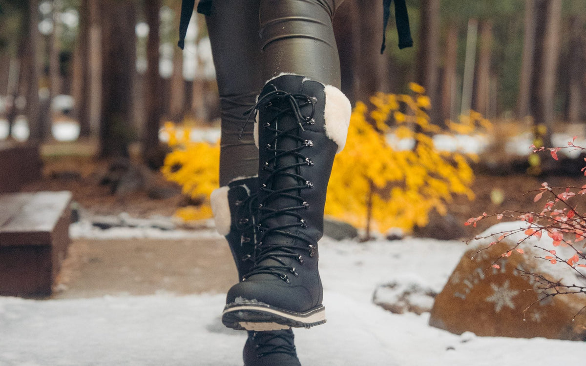 DALHOUSIE in Black Lager stepping through early snow in a fall forest