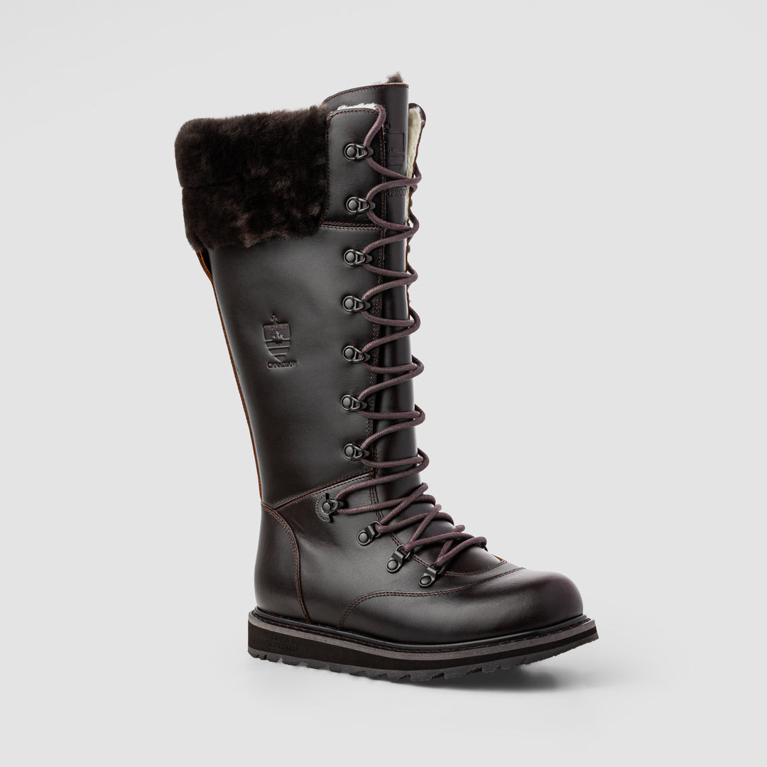 Dalhousie Chocolate Brown women's tall winter boot