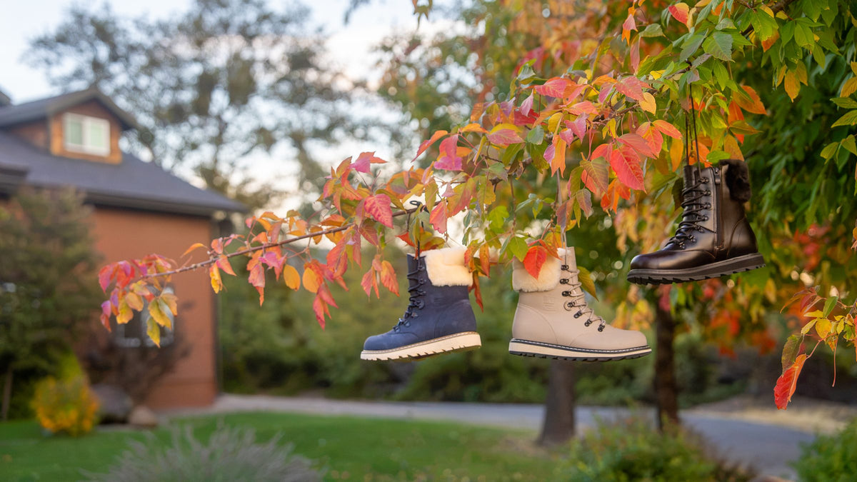 CAMBRIDGE in Denim Blue, Dove and Chocolate Brown hanging in a red maple