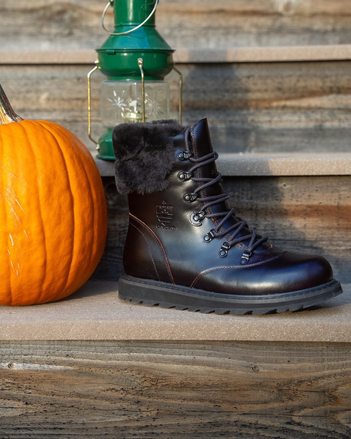 CAMBRIDGE in Chocolate Brown beside a pumpkin and lantern