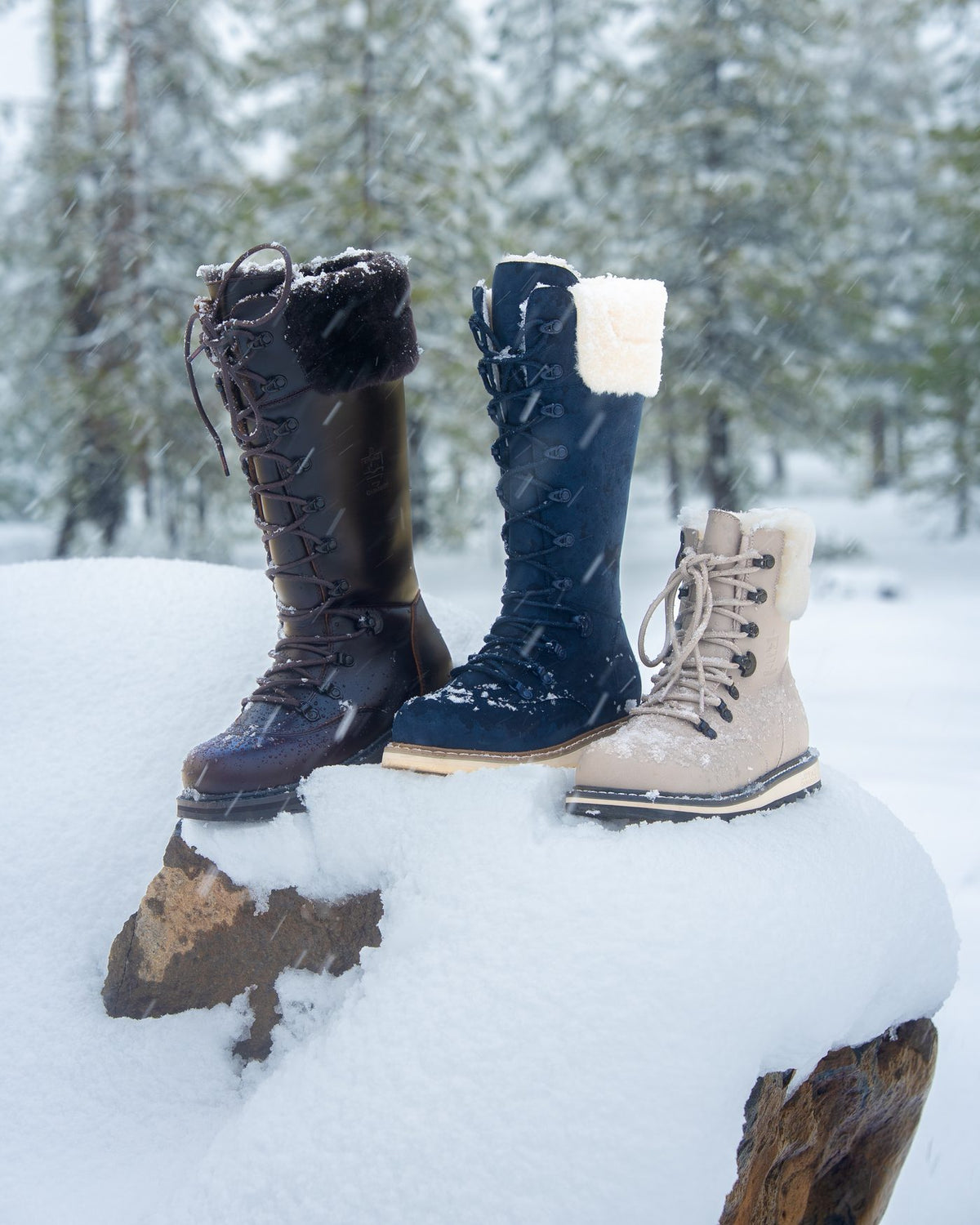 DALHOUSIE Chocolate Brown and Denim Blue with CAMBRIDGE Dove on a snowy log