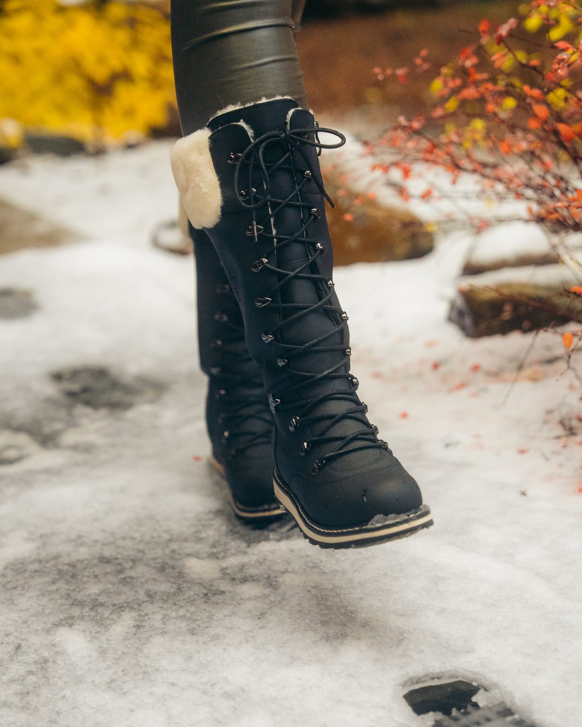 DALHOUSIE in Black Lager walking through early snow