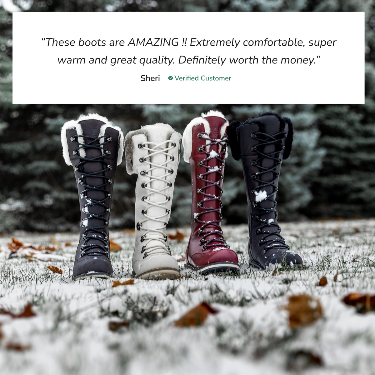 Dalhousie All Black women's tall winter boot – image 4