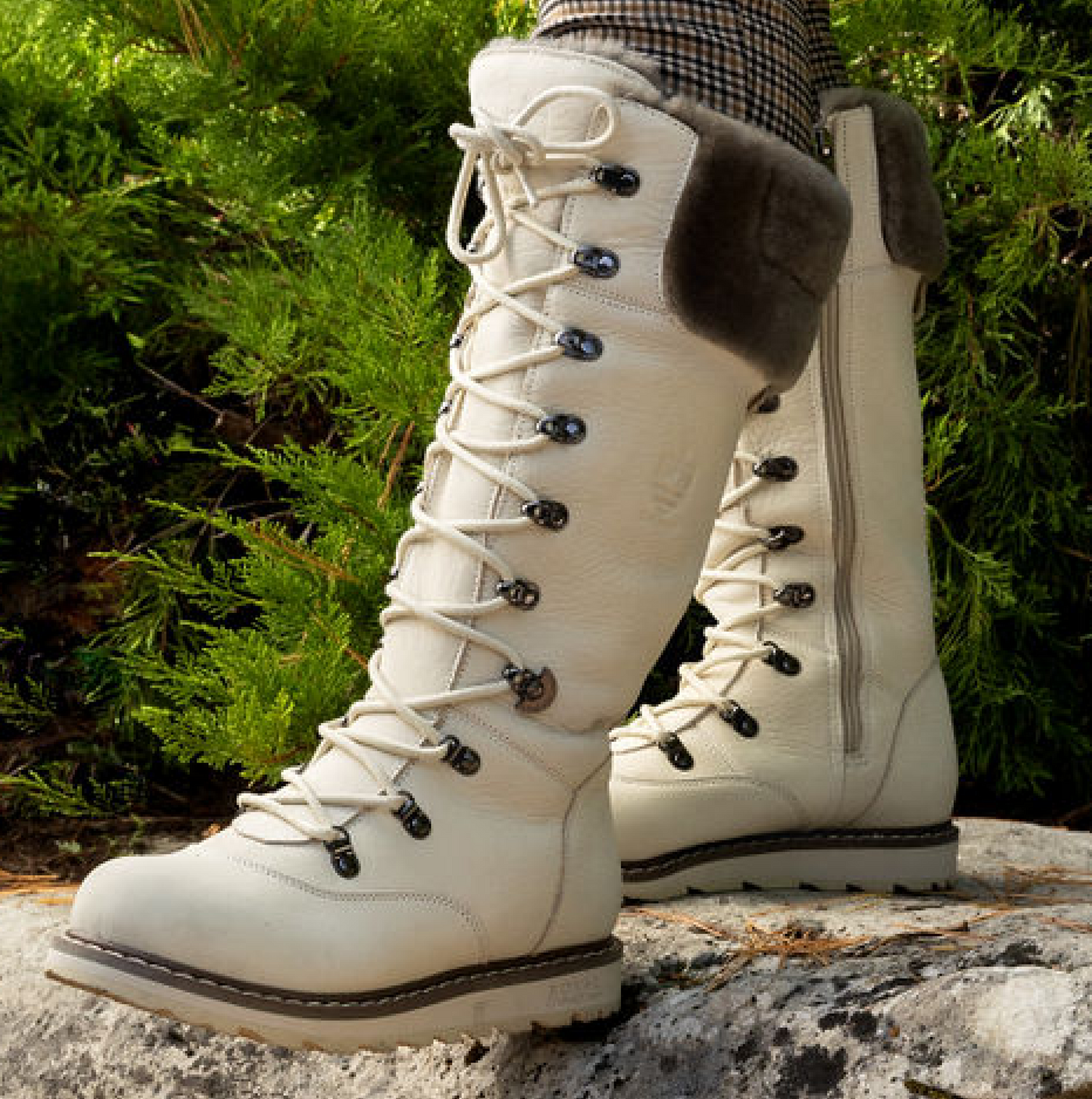 DALHOUSIE | Women