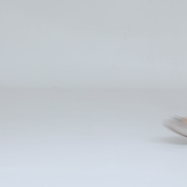 Aria Dove women's waterproof flat – video