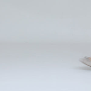 Aria Dove women's waterproof flat – video
