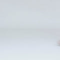 Aria Pink women's waterproof flat – video