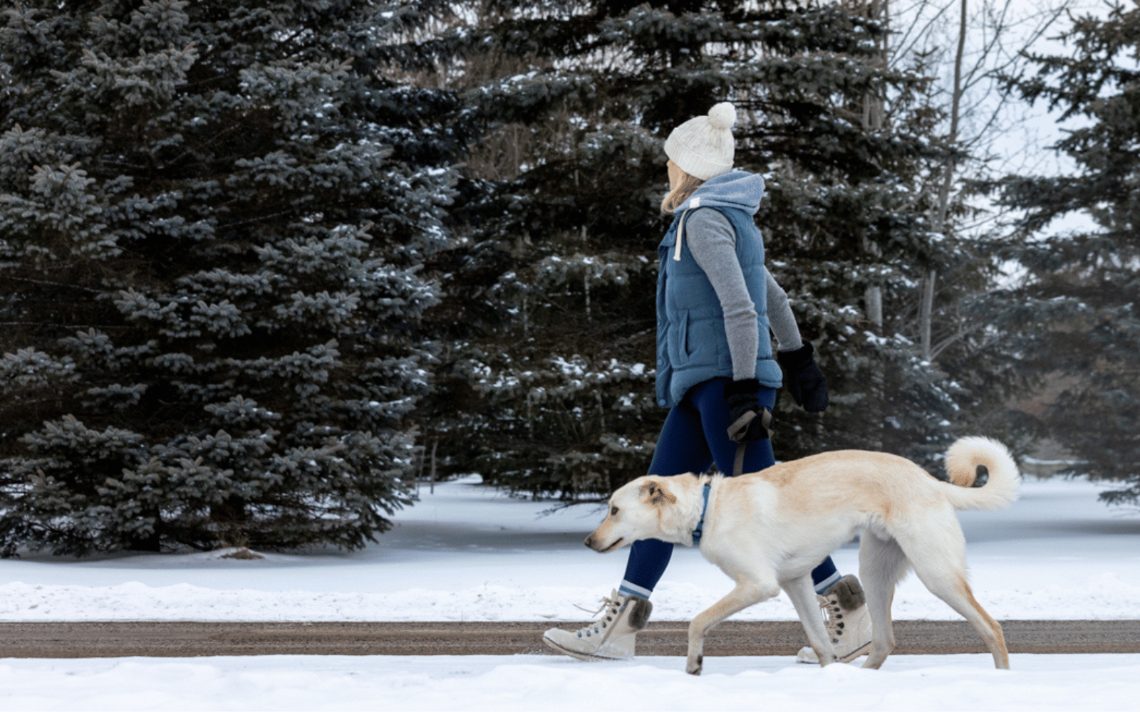 woman wearing cambridge boots walking dog in the snow